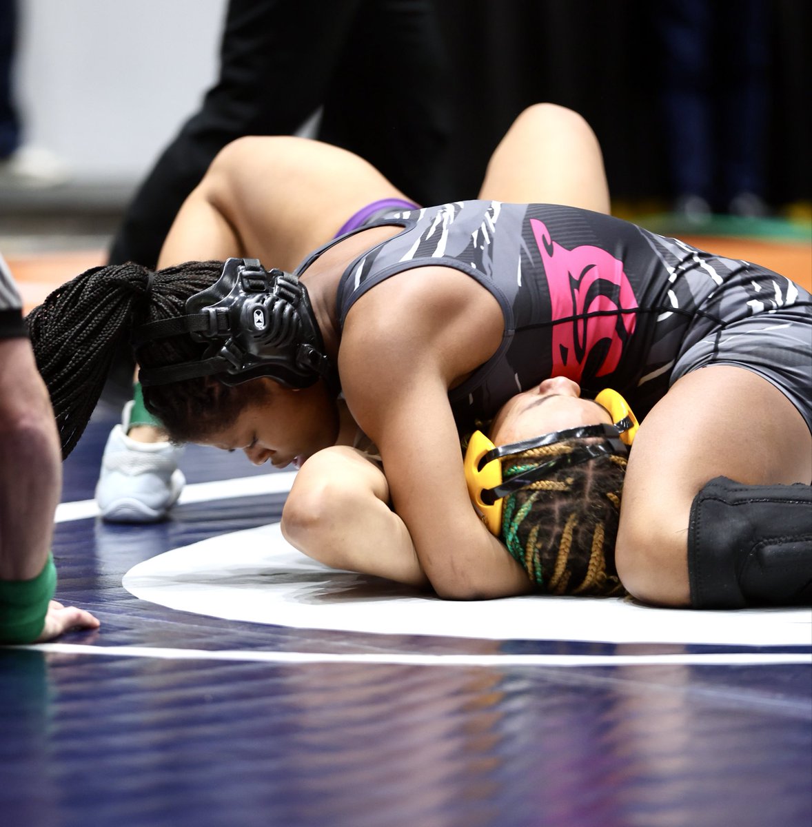 Gary Gentry Photo tweet media