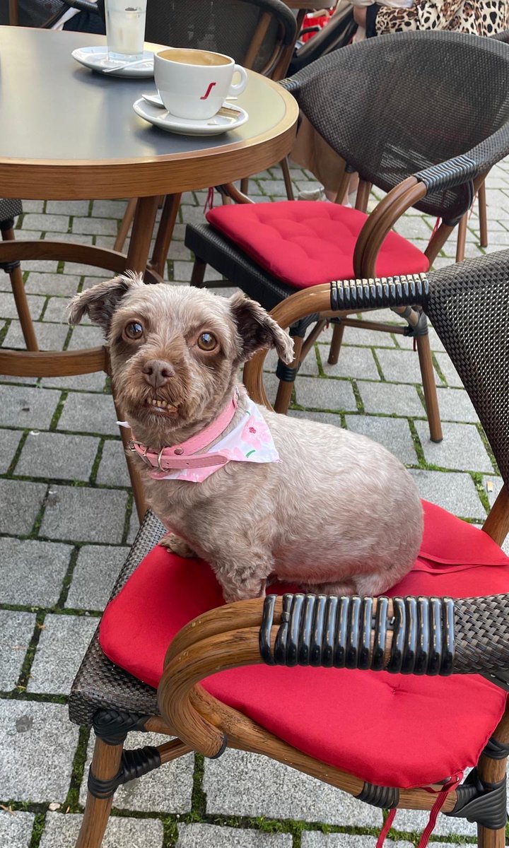 Un double expresso, s'il vous plaît.