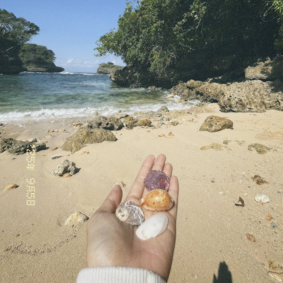 miiiinul's tweet photo. 🌊🌴🐚🪨 https://t.co/iM6v9ZDkNl