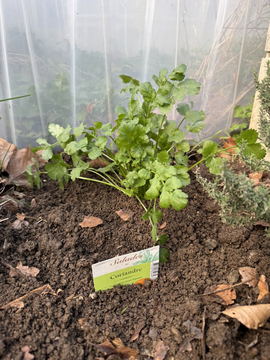 Quand la météo te permets de préparer le barbecue de <a href="/DavStMalo/">SuperMalouin 🌈</a> 😁😇😂