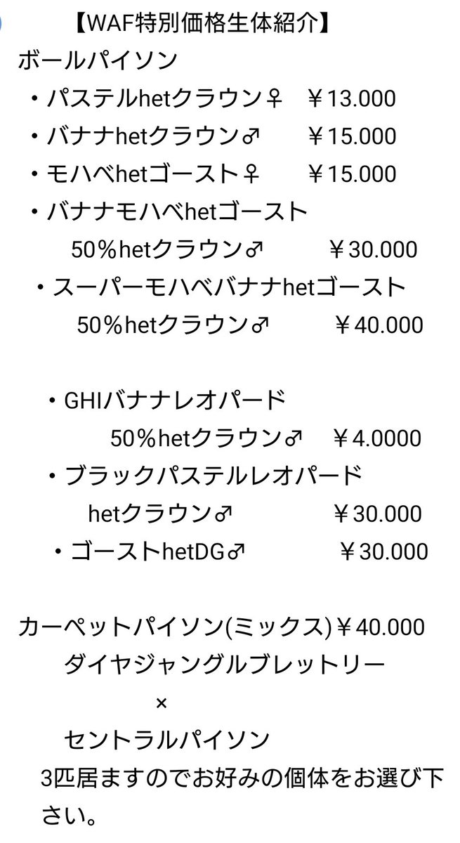 【WAF特別価格生体紹介】

GHIバナナレオパード50％hetクラウン♂

＃ボールパイソン
＃WAF
#爬虫類イベント