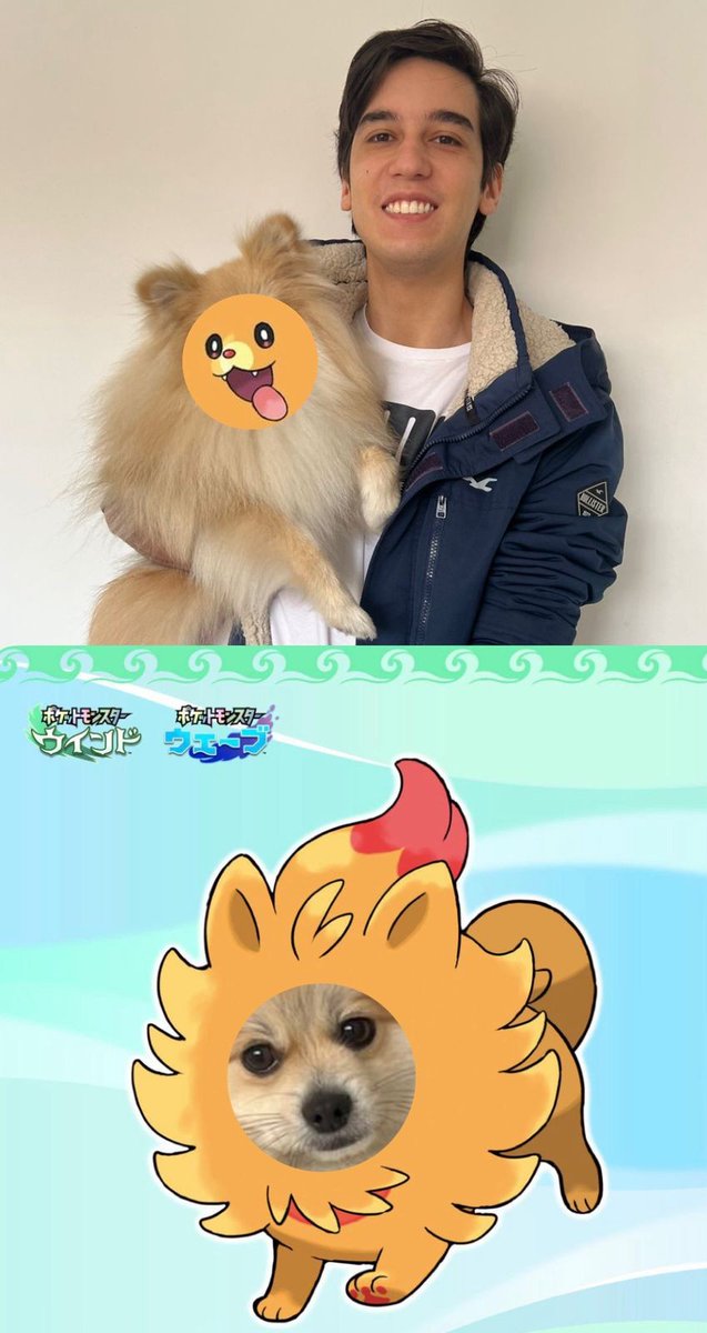 <a href="/souto_unite/">Souto</a> você poderia me confirmar qual dessas fotos é a original? #PokemonDay #Pokemon30