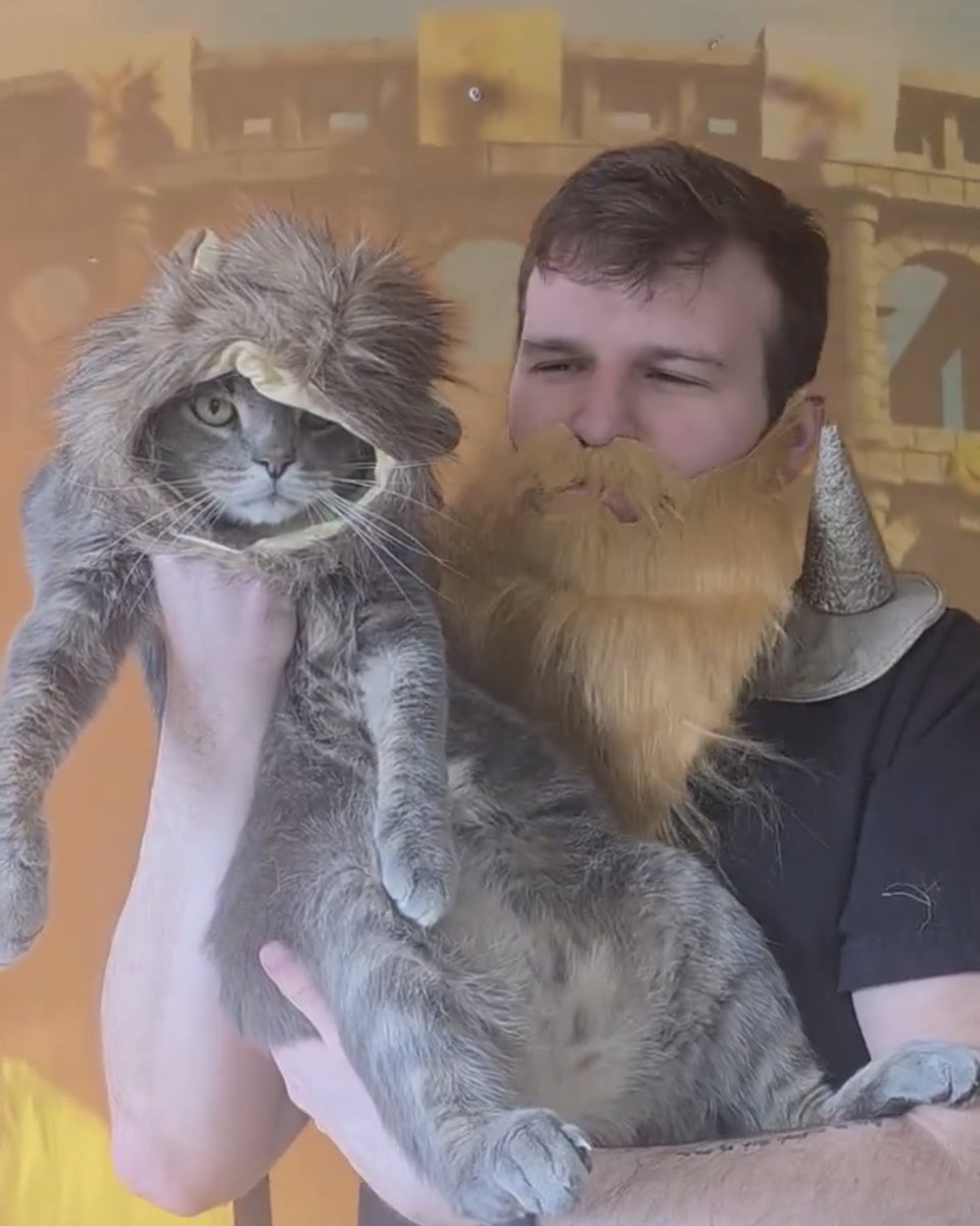 PrimaryArtemis tweet media