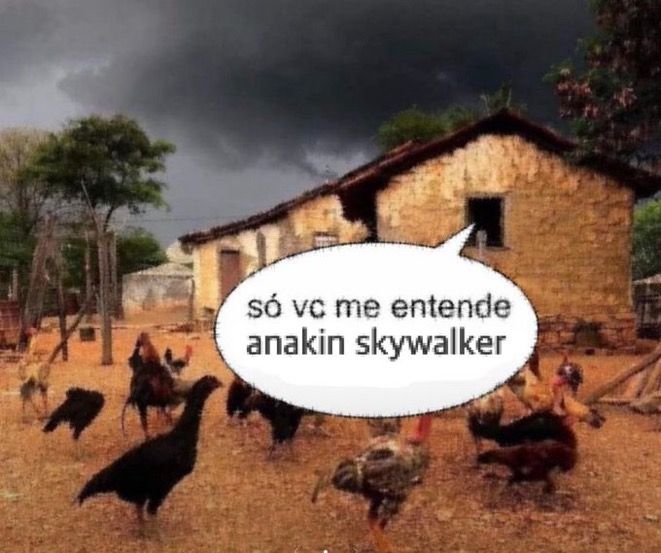 A Página Confusa tweet media