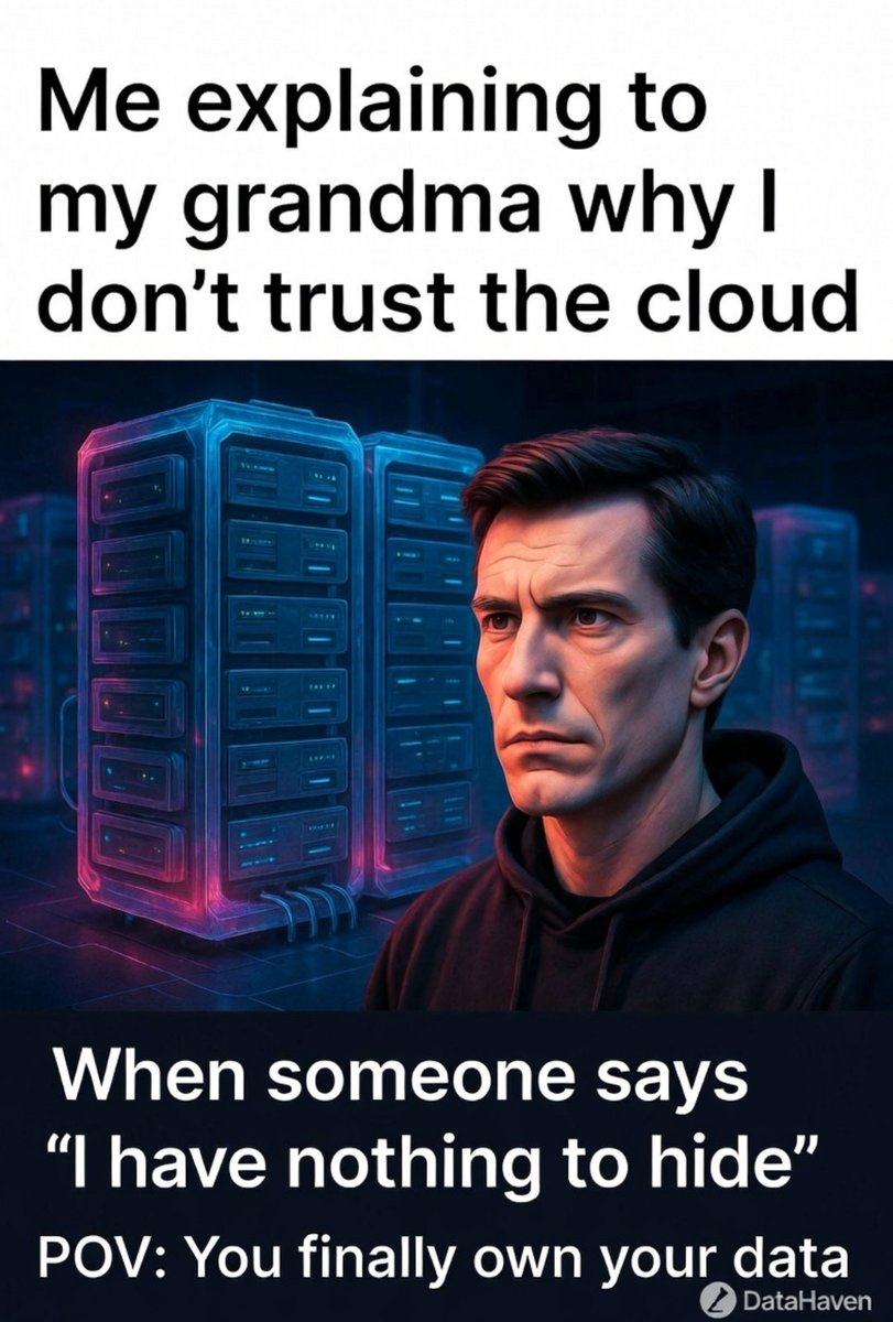 Brendi001's tweet photo. Just uploaded my privacy meme to DataHaven! 🛡️ Protecting your own data isn’t just smart, it’s empowering. Decentralization gives you control, not Big Tech. @DataHaven_xyz #PrivacyMatters #DataHavenTestnet https://t.co/wOGH2qmQtJ