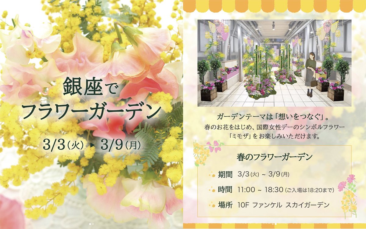 🌸春の空中庭園｜ミモザに包まれる】 #emilio行脚 📅3/3(火)〜3/9(月