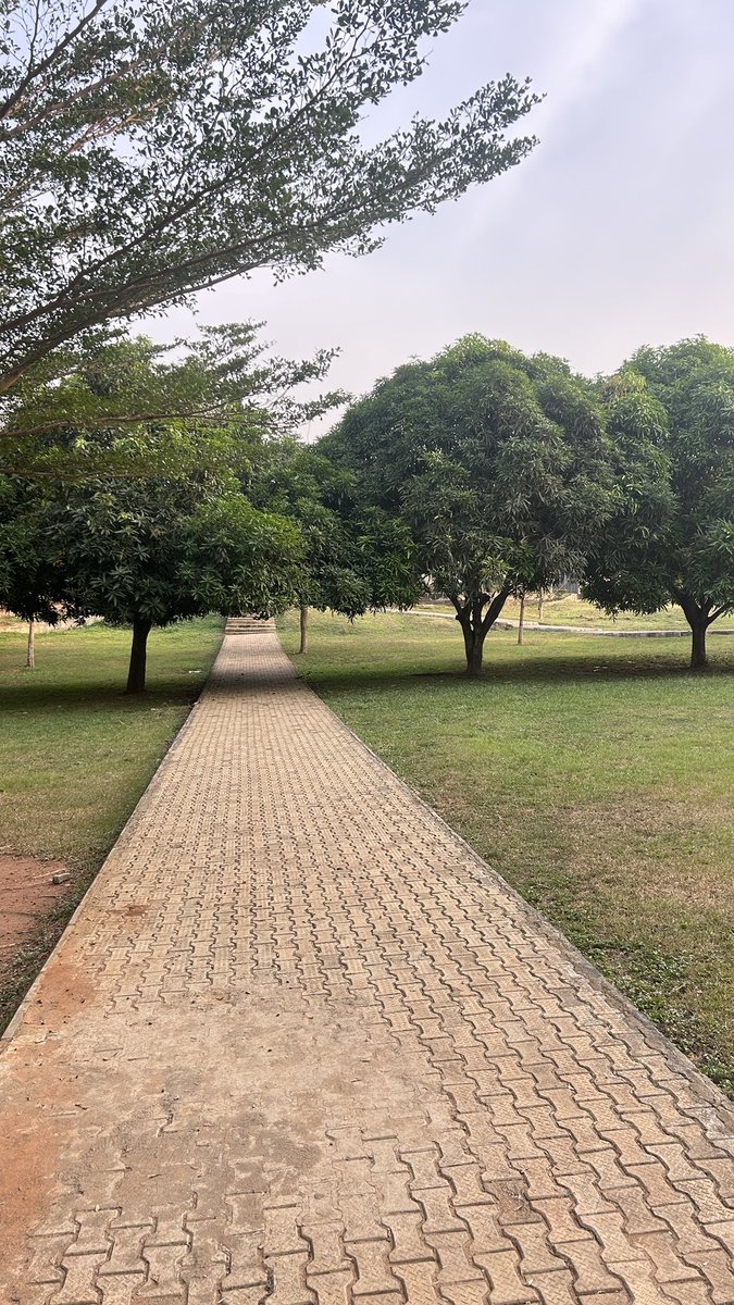 Somewhere in Caleb Uni✨❤️