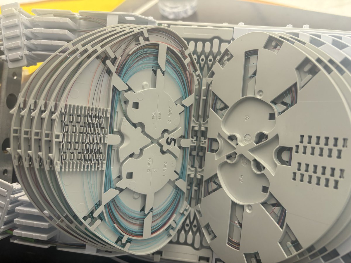 Trenchwalker 🇦🇱 tweet media