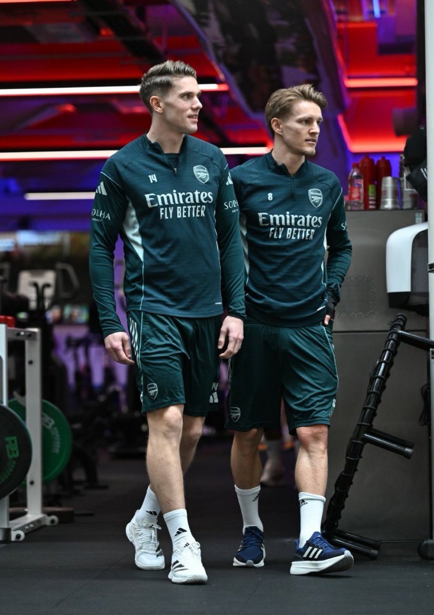 The Scandinavians 🇸🇪🇳🇴