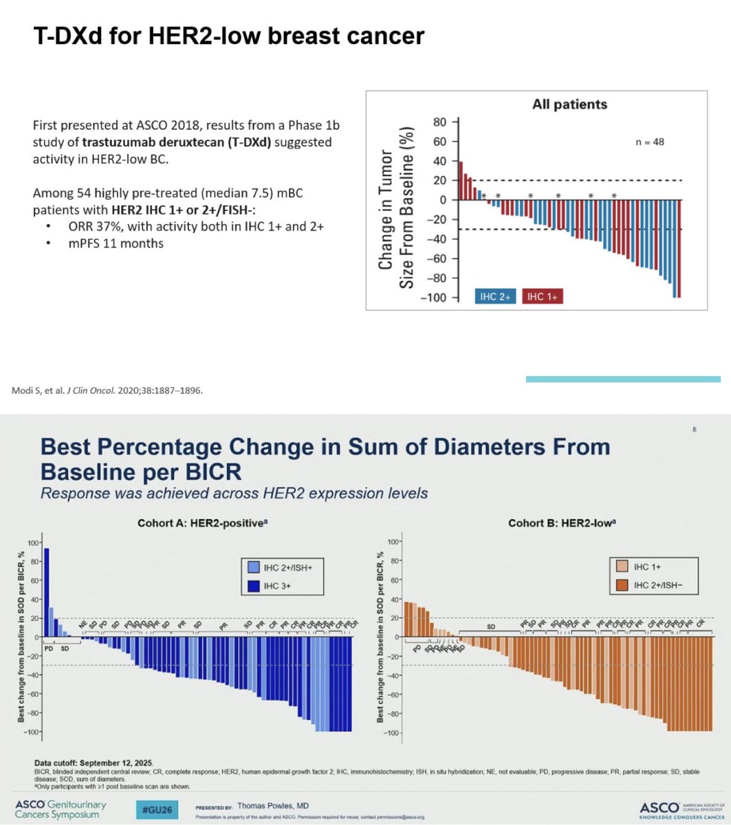Paolo Tarantino tweet media