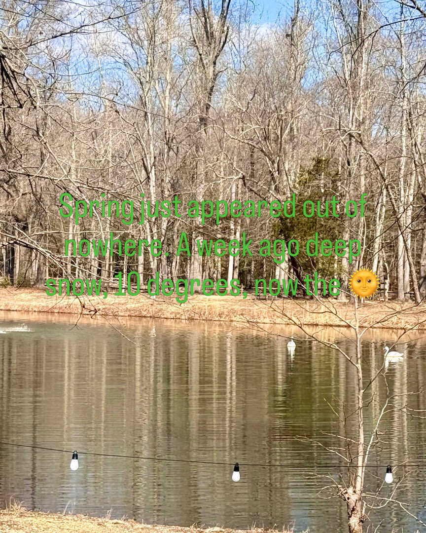 Mitzi Guice tweet media