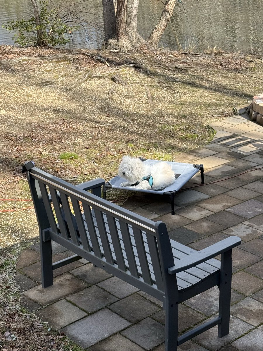 Mitzi Guice tweet media