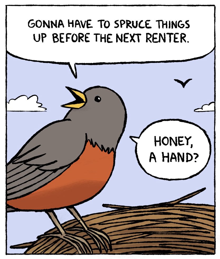 landlord 