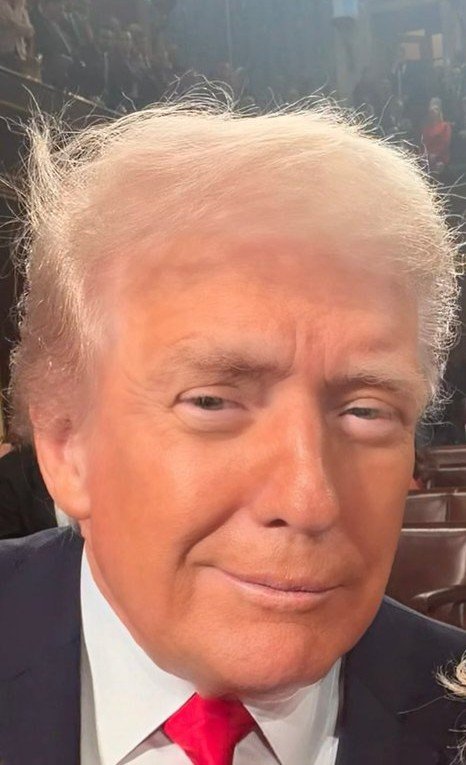 ℍ𝕒𝕞𝕚𝕝𝕥𝕠𝕟⚡️ tweet media