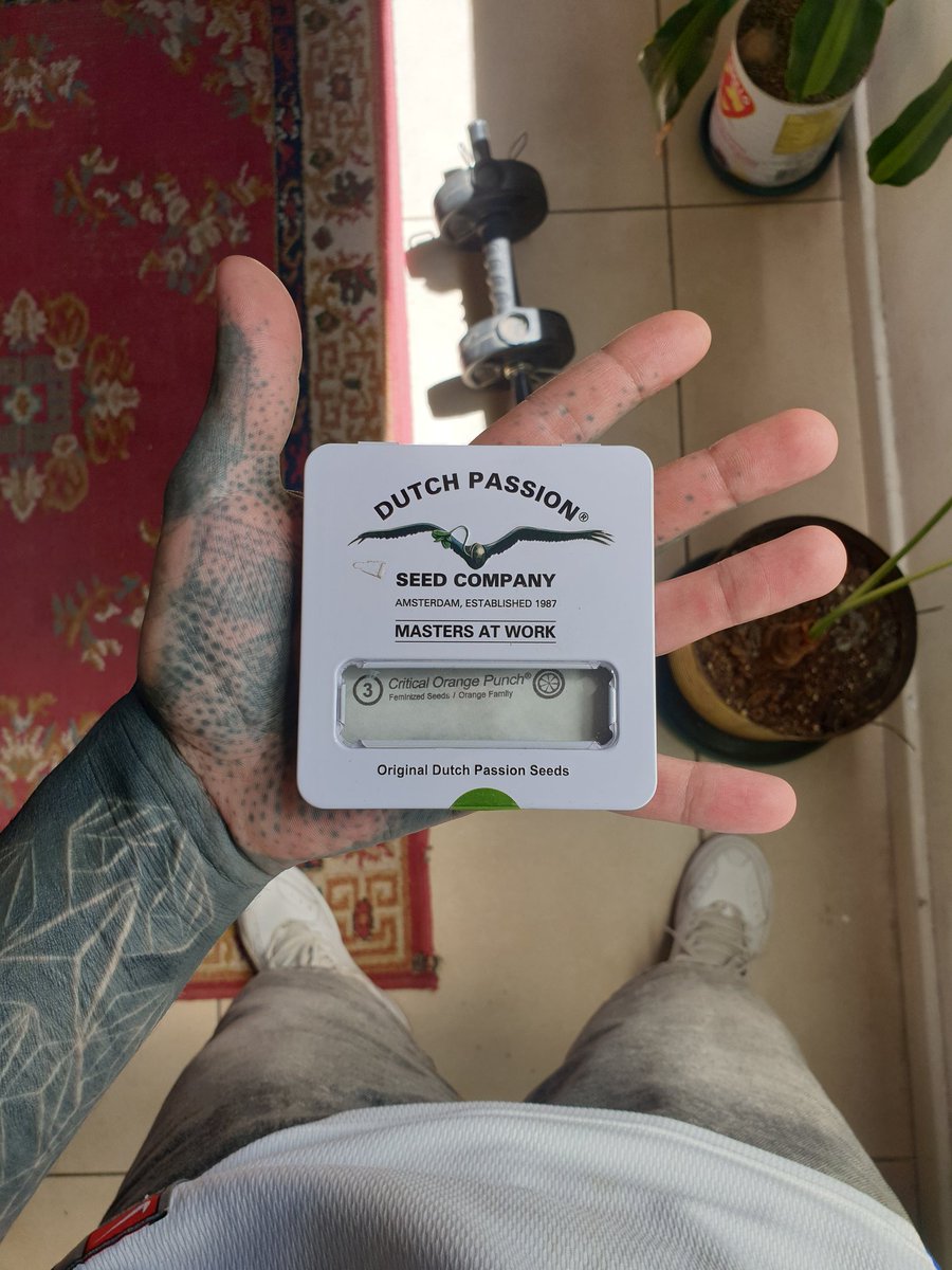 NICO GROSSO tweet media