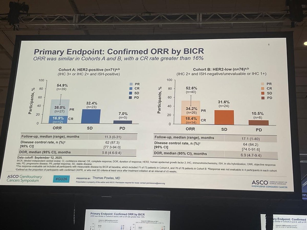 cure_today's tweet photo. About 60–80% of #BladderCancer express HER2. @ASCO #GU26

In a phase 2 study, disitamab vedotin led to responses in more than half of previously treated pts, even in HER2-low disease.

Toxicities were manageable, w/ fatigue % neuropathy most common. - @pablombarrios @DanaFarber https://t.co/KaefO8oFcq