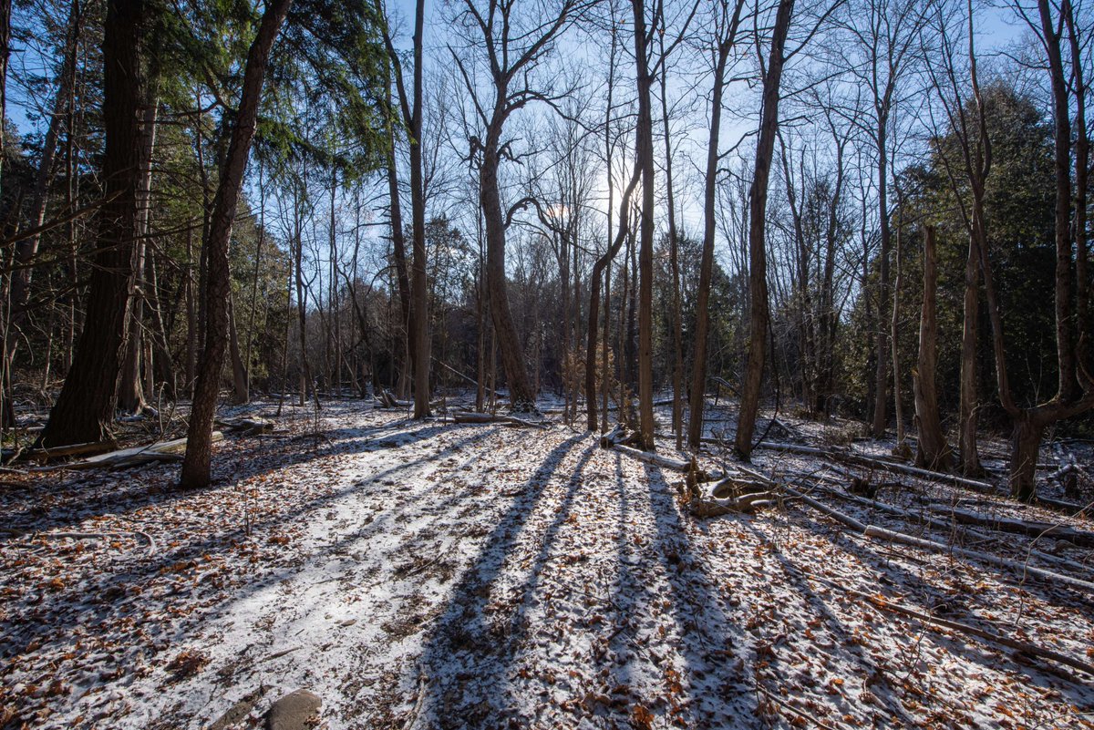Parc urbain national de la Rouge, Parcs Canada tweet media