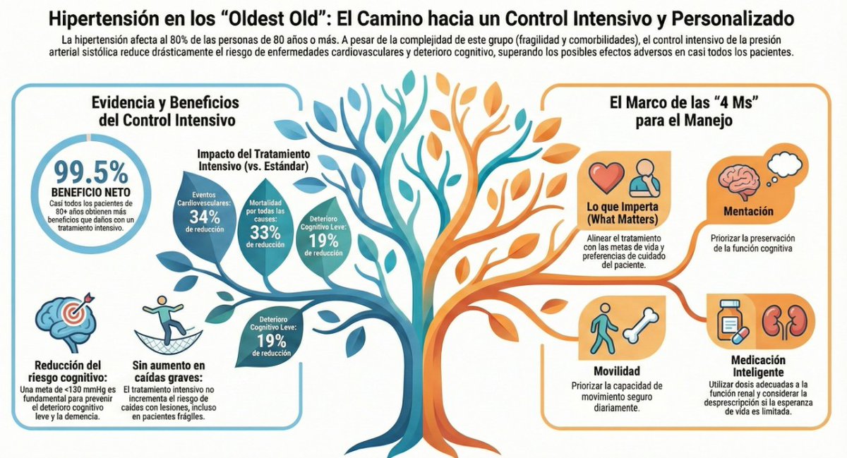 🩺 Hipertensión en los más ancianos: nuevo enfoque con el modelo de las 4 M

¿Quieres conocer las claves del manejo personalizado de la hipertensión en mayores de 80 años? cardioteca.com/hipertension-a… 

💓 Afecta al 80% de octogenarios como factor de riesgo cardiovascular mayor 
🧠 El