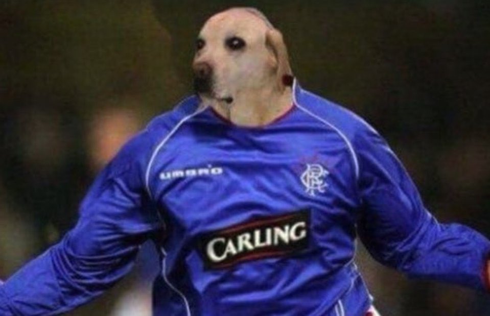 arran pollock tweet media