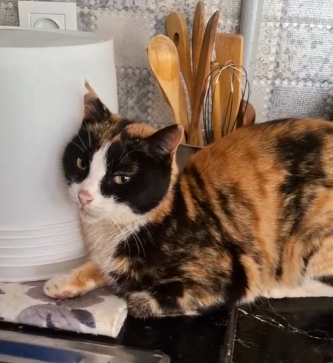 سیمای زنی در میان جمع tweet media