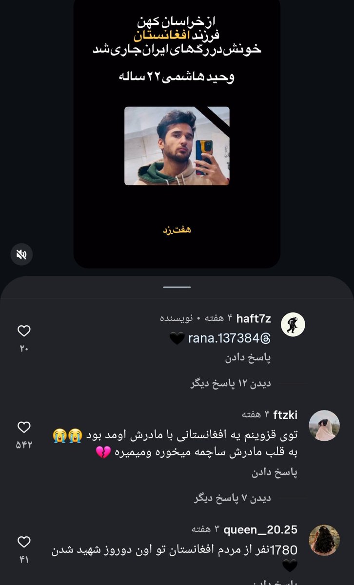 آفتابگردان tweet media