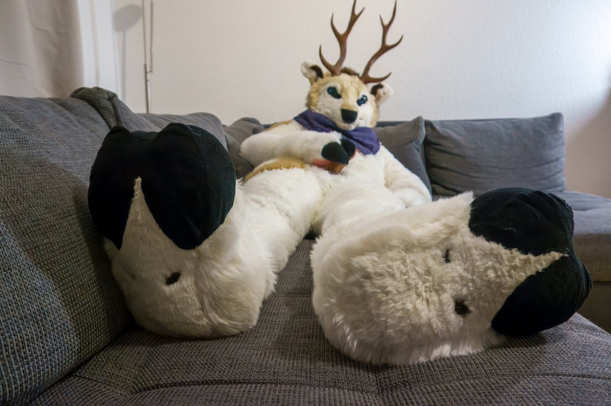 Hayel 🦌 (Ligertier Plushmods) tweet media