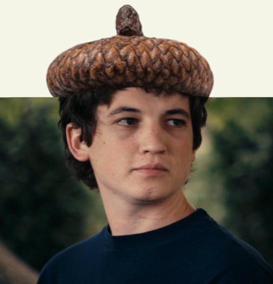 tomo (@tomohara) on Twitter photo 