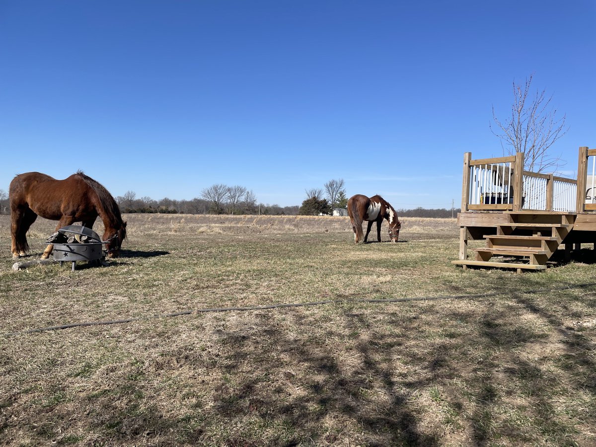 Dis is da life. 🙌🏼❤️🐴 A beautiful but windy day in Missouri. Have a great day my fellow patriots. 🇺🇸❤️🇺🇸❤️🇺🇸❤️
