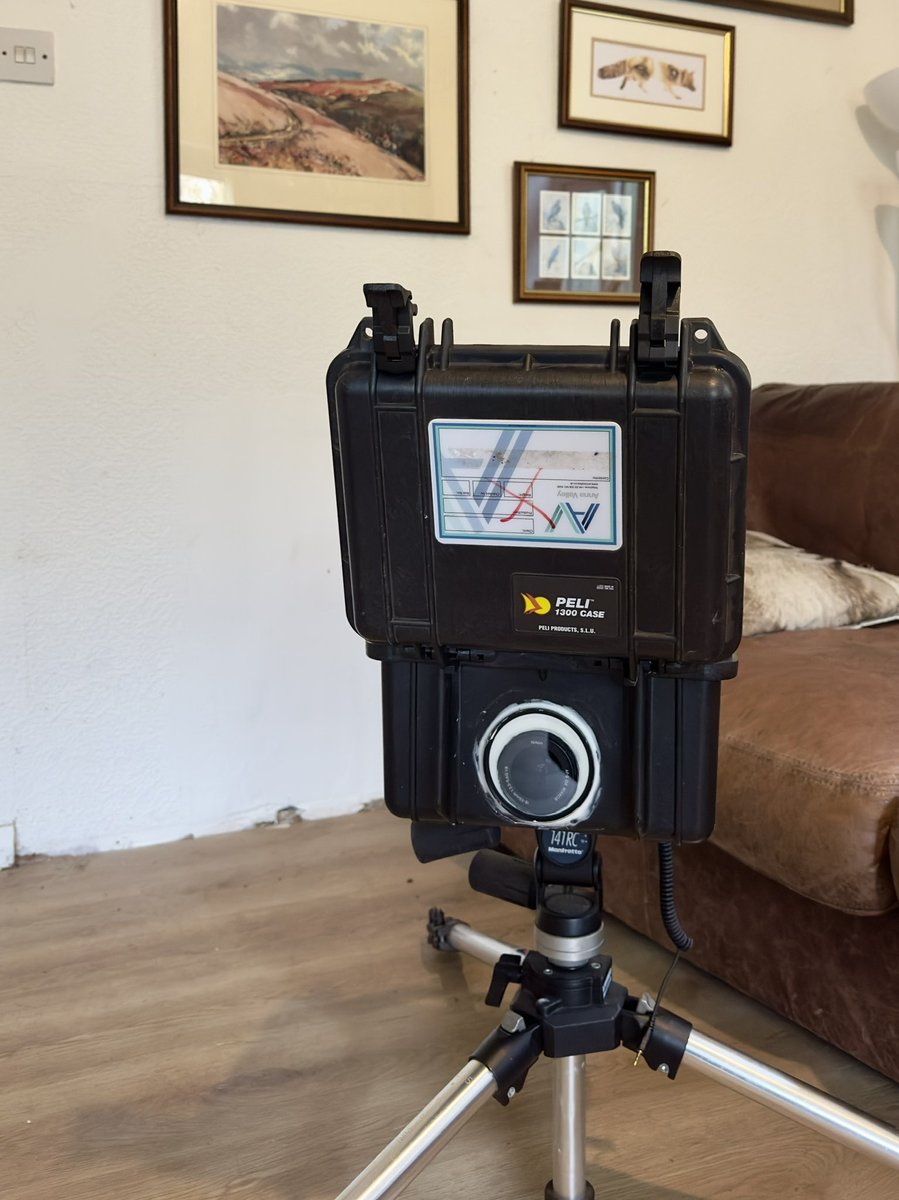 The Stoic Terrierman tweet media