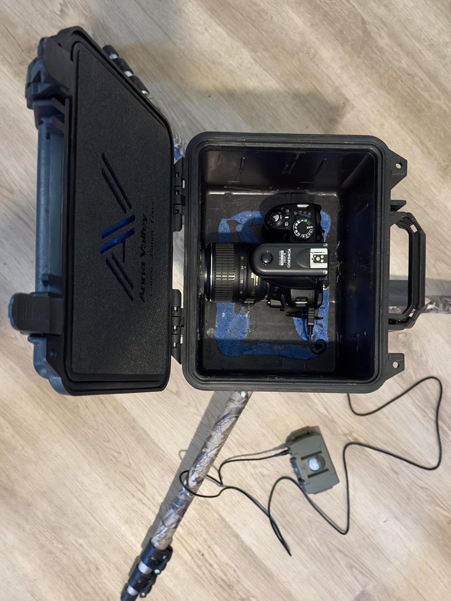 The Stoic Terrierman tweet media