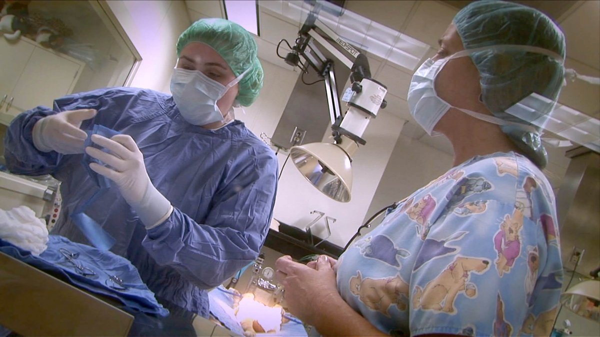 Wisconsin Technical Colleges tweet media