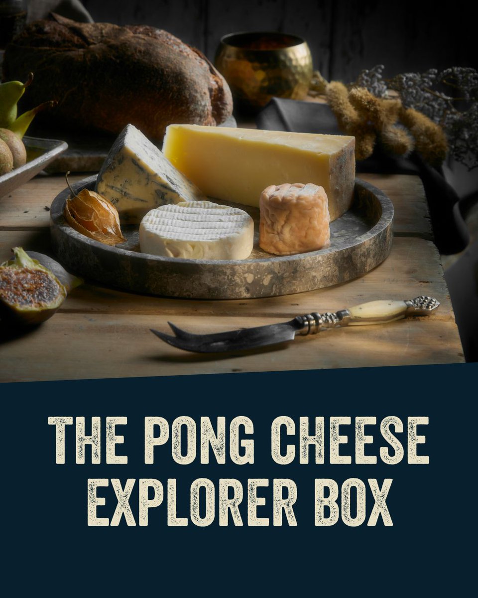 Pong Cheese tweet media