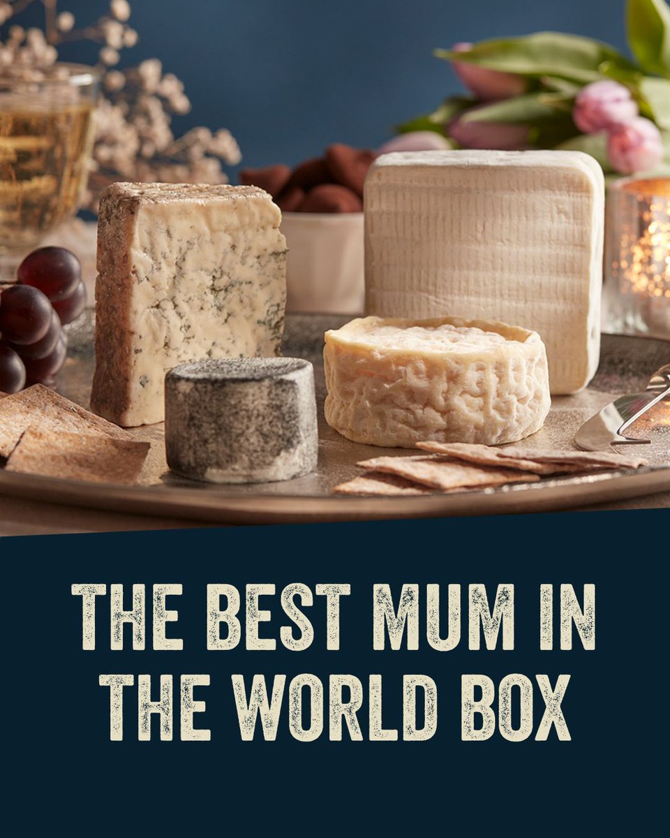 Pong Cheese tweet media