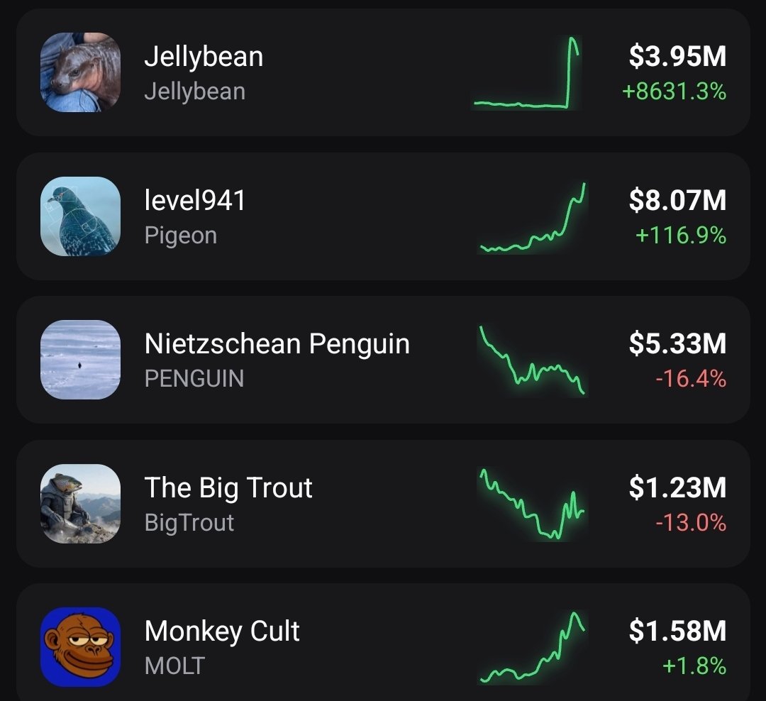 𝔊𝔯𝔞𝔳𝔞𝔫𝔬 tweet media