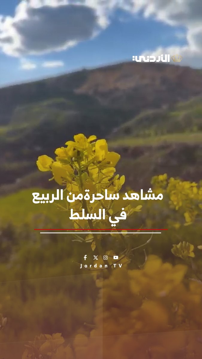 مشاهد ساحرة من الربيع في مدينة السلط #الأردن 
