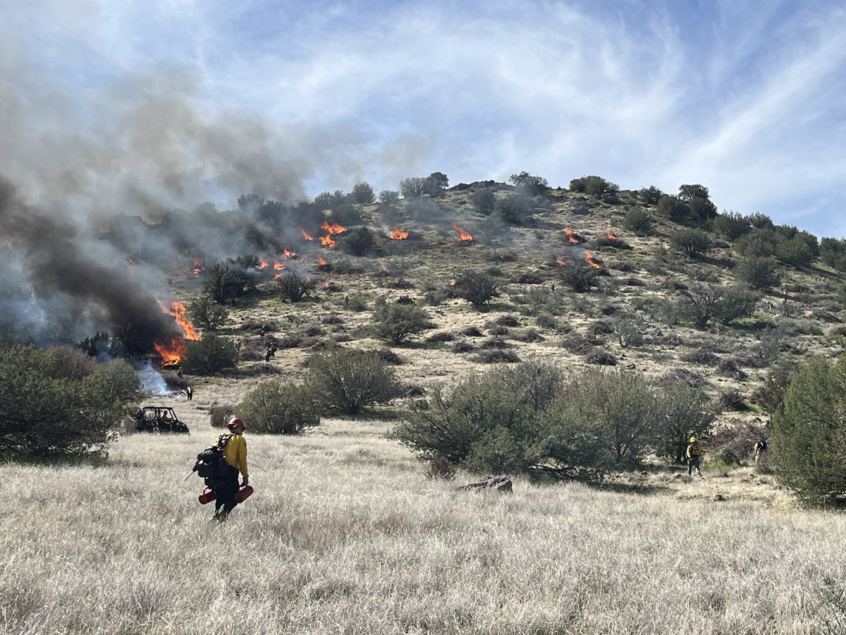 Bureau of Land Management Arizona Fire Management tweet media
