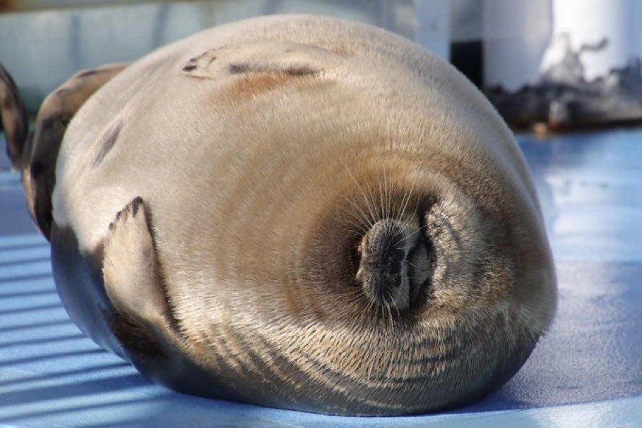 Sage ‼️‼️‼️‼️ tweet media