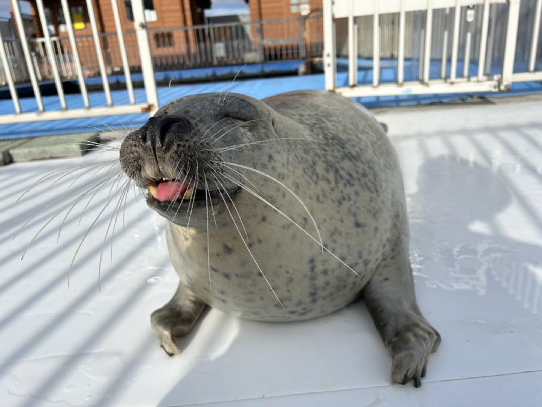 Sage ‼️‼️‼️‼️ tweet media