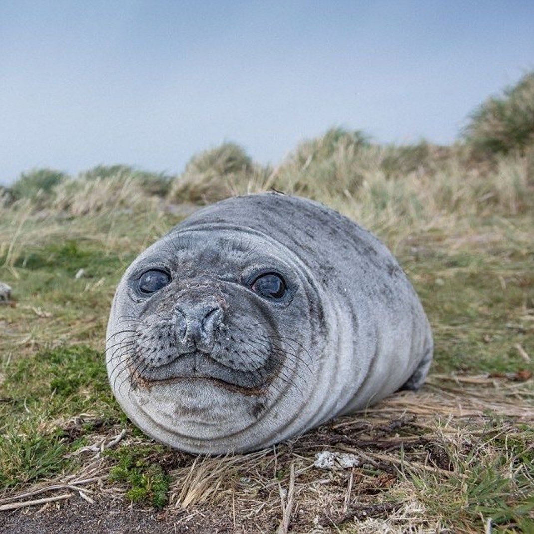 Sage ‼️‼️‼️‼️ tweet media