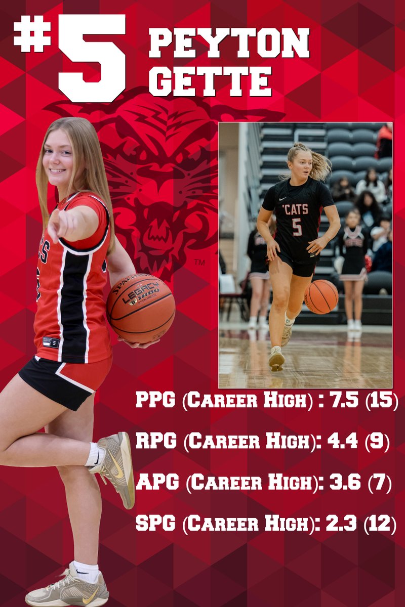 NDSCS Women’s Basketball tweet media