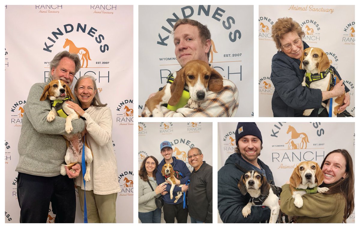 Kindness Ranch tweet media