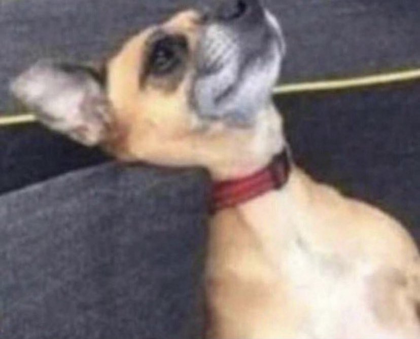 I woulda hit this position for the rest of the day if it was me 😭