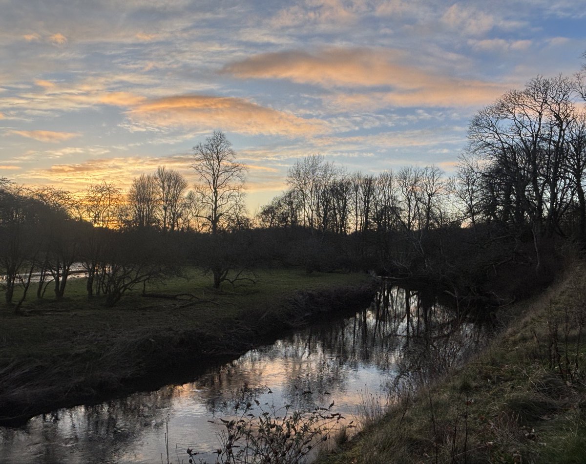 catrionaduggan's tweet photo. Feel like the first Spring evening of the year π±
#pollockpark
#Glasgow https://t.co/dOTbV17Bwd