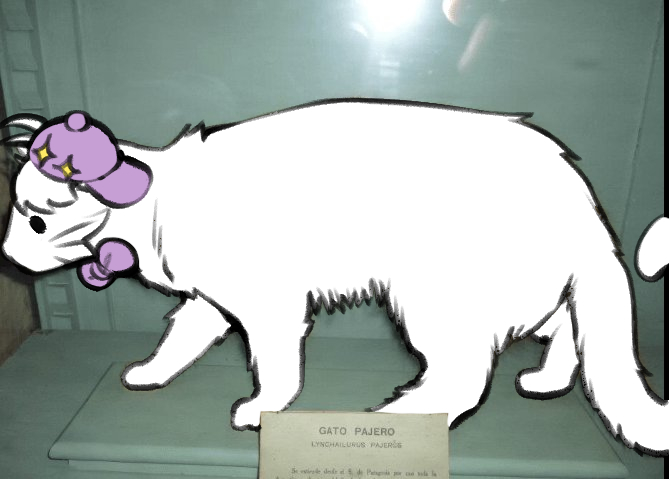 <a href="/MrDancingg/">MrDancingg✨🎀</a> AQUÍ TU CURI MASTER