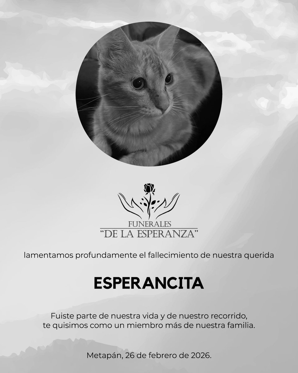 Alerta Noticias tweet media