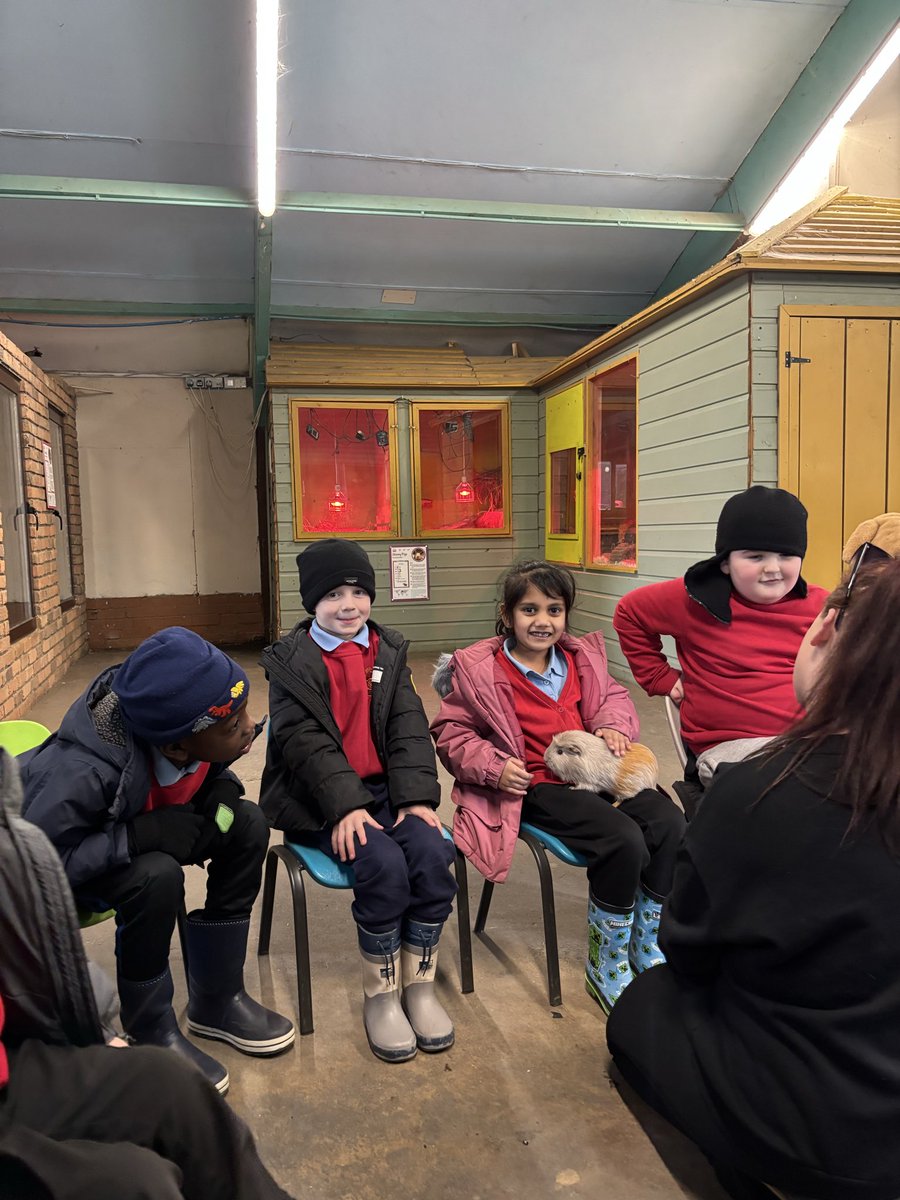 St Stephen's Primary tweet media