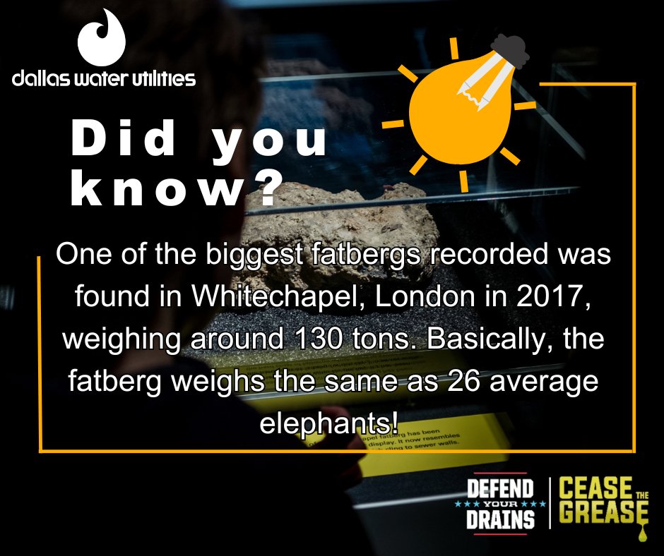 Defend Your Drains tweet media