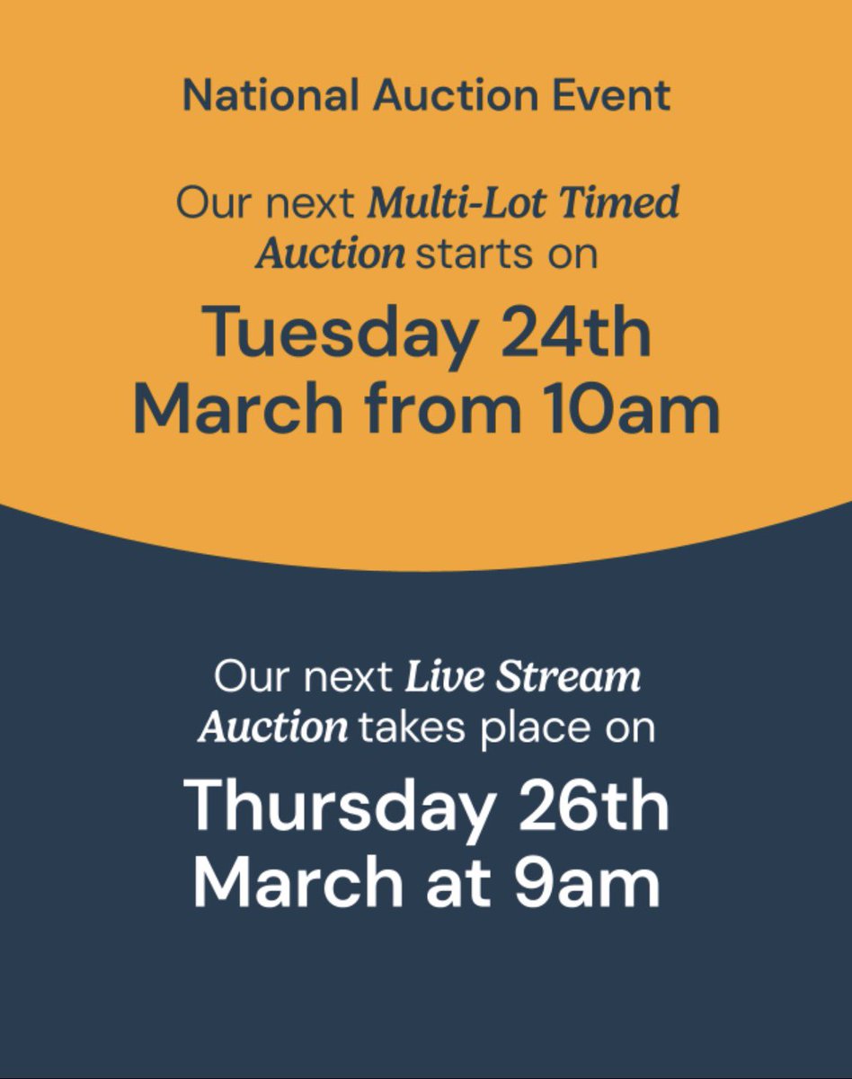 Andy Thompson tweet media