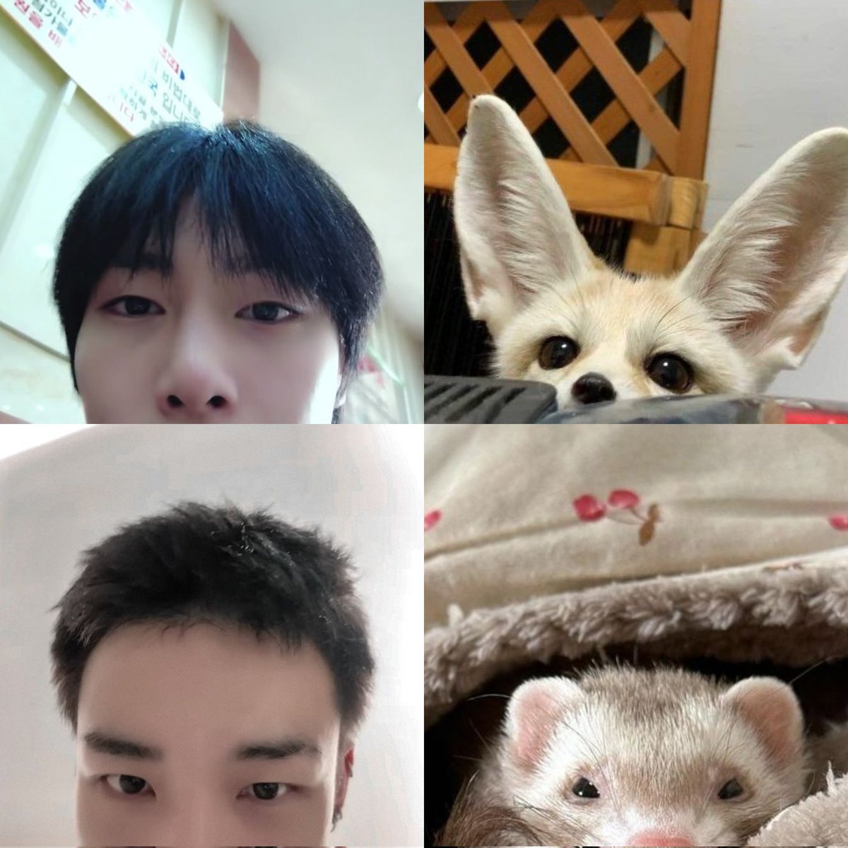 mysoulkimtae's tweet photo. they said 'ʰᵉˡˡᵒᵎ' https://t.co/4dUPaZQPtH