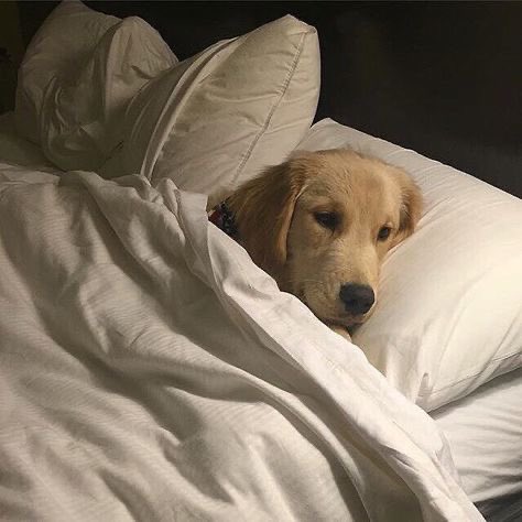 บอกเพื่อนนอนไม่หลับ เพื่อนบอกมุงนอนเถอะเดี๋ยวพรุ่งนี้ตอนกดจะเบลอ🥲🥹